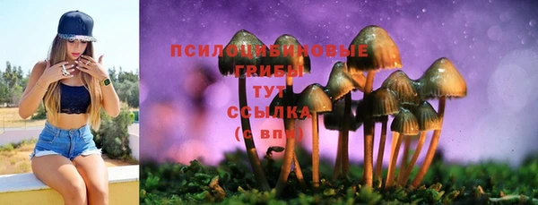 jwh Аркадак