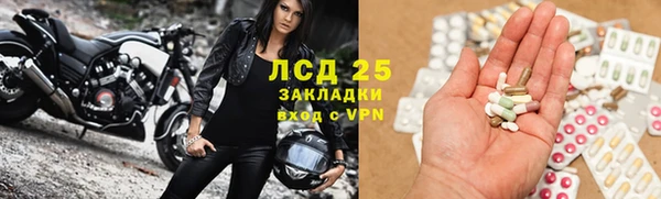 шишки Армянск