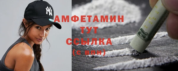 шишки Армянск