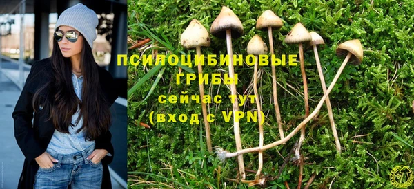 шишки Армянск