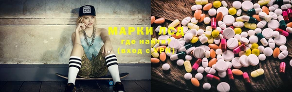 шишки Армянск